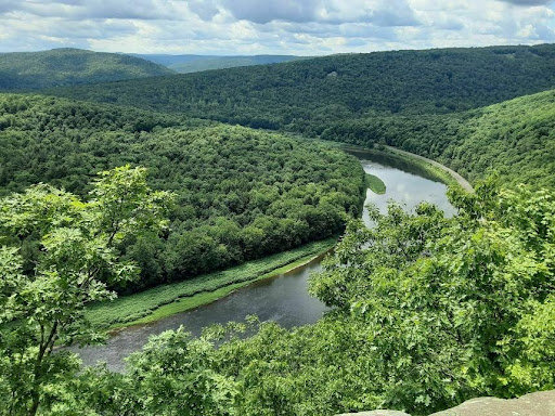 The Bouchoux Trail and Jensen's Ledges are well worth seeing. Find them near Long Eddy, NY.